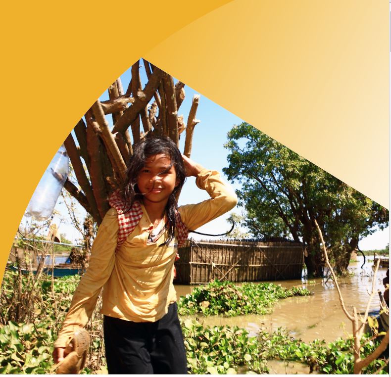 Integrating gender in transitions to renewable energy in the Lower Mekong Region